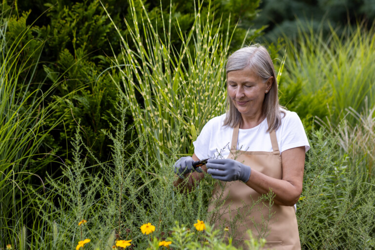Gardening image